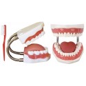 TOOTH HYGIENE SET WITH TOOTH BRUSH
